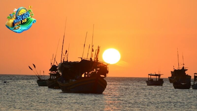 Cẩm nang hoạt động chụp ảnh tại Giá tour đảo Cù Lao Câu