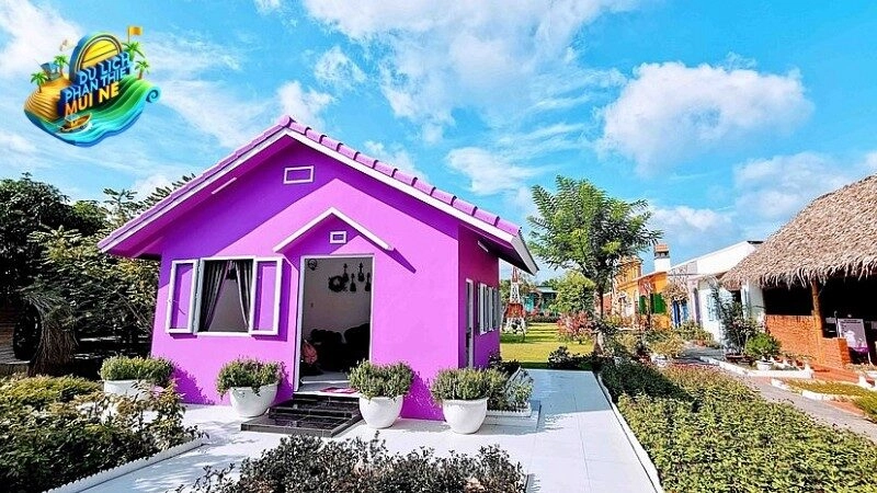 Địa Chỉ Căn Nhà Màu Tím Cần Thơ