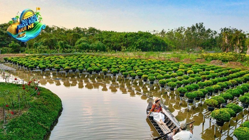 Du Lịch Đảo Hòn Cau Khám Phá