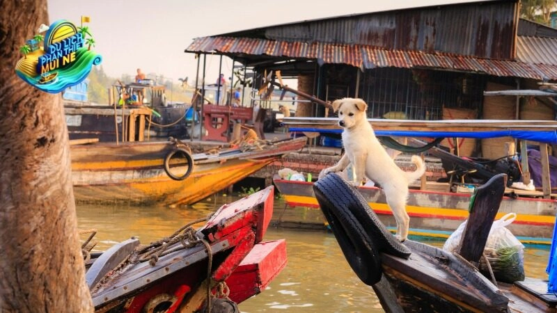 Giá Tour Du Lịch Cà Mau Mới Nhất