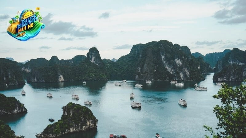 Khám Phá Dinh Thầy Thím Cổ Thạch