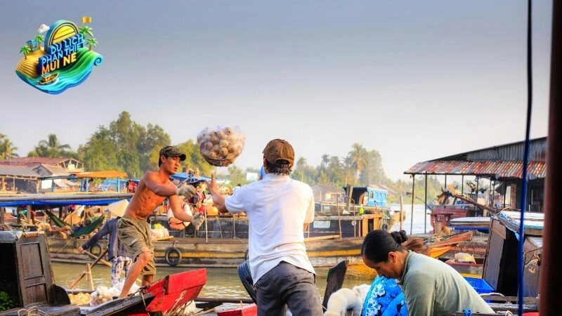 Khám Phá Thiên Nhiên Hoang Sơ Tại Cà Mau