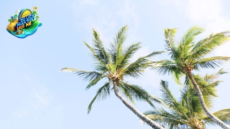 Khám Phá Vẻ Đẹp Hoang Sơ Của Đảo Lý Sơn