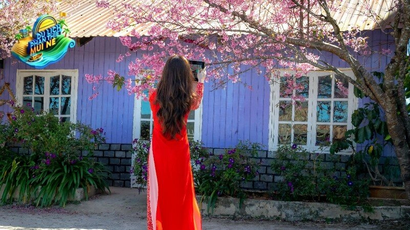 Khám Phá Vẻ Đẹp Thiên Nhiên Tại Các Điểm Tham Quan Gần Căn Nhà Màu Tím