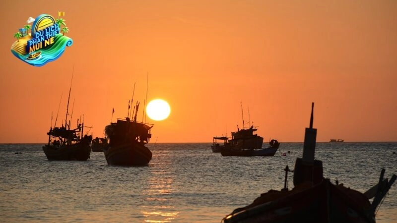 Lưu Ý Cần Biết Khi Tham Gia Tour Đảo Bình Thuận 3 Ngày 2 Đêm