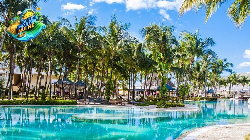Những Địa Điểm Không Thể Bỏ Lỡ Khi Du Lịch Phan Thiết Mũi Né