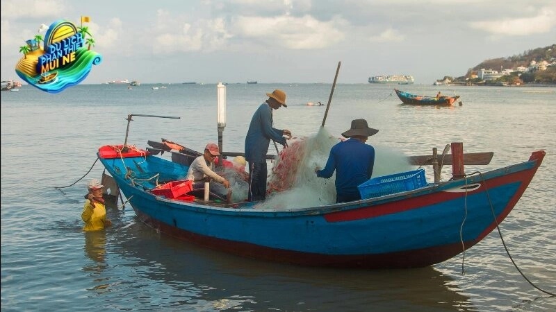 Tour Đảo Bình Thuận 3 Ngày 2 Đêm