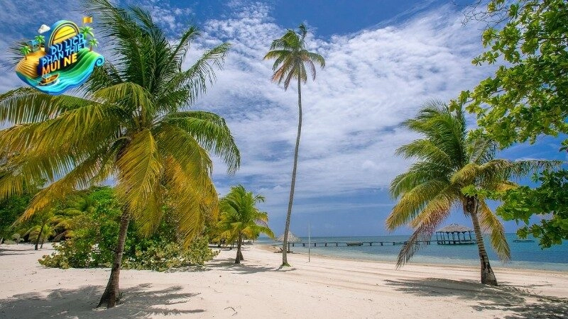 Tour Mũi Né Phan Thiết 3 Ngày 2 Đêm
