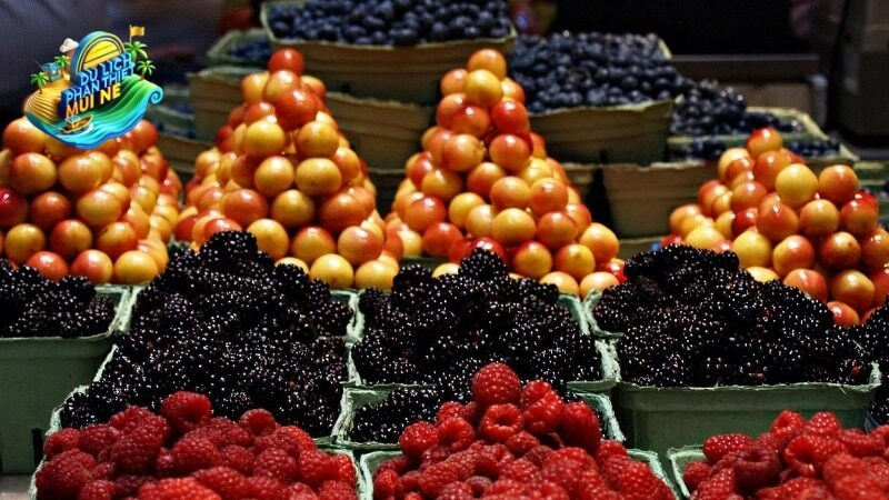 Trải nghiệm Văn Hóa Đặc Sắc Tại Cà Mau